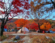 국립공원 야영장, 선착순 없앤다...5월부터 추첨제로 전환