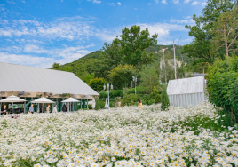 5월 온가족이 즐길 수 있는 '인천 여행명소'