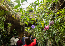 겨울나기 좋은 서울 '실내 관광지' 3곳