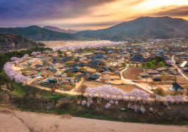 한국관광공사, 산불 피해지역 회복 돕는다...'할인쿠폰 1만장' 배포