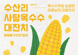 제주 '수산리 사탕옥수수 대잔치' 14~15일 개최