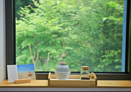 반전매력 가득한 '불편한 여행' 5선