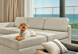 신라모노그램 강릉, 반려견 동반 객실 선보여