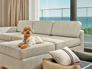 신라모노그램 강릉, 반려견 동반 객실 선보여