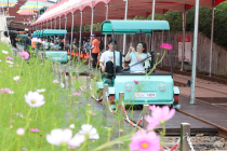 춘천 김유정레일바이크, 열린관광지로 재단장