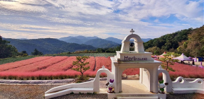 경기도, 12일부터 '웰니스 시범투어' 참가자 모집