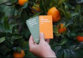 제주, 패션·웰니스 융복합 런케이션 프로그램 '첫선'