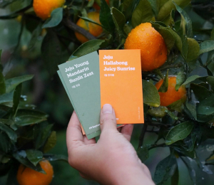 제주, 패션·웰니스 융복합 런케이션 프로그램 '첫선'