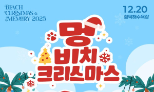반려견과 함께하는 '멍 비치크리스마스'...제주 함덕해변서 운영