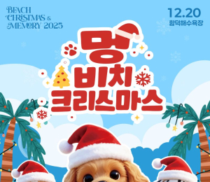반려견과 함께하는 '멍 비치크리스마스'...제주 함덕해변서 운영